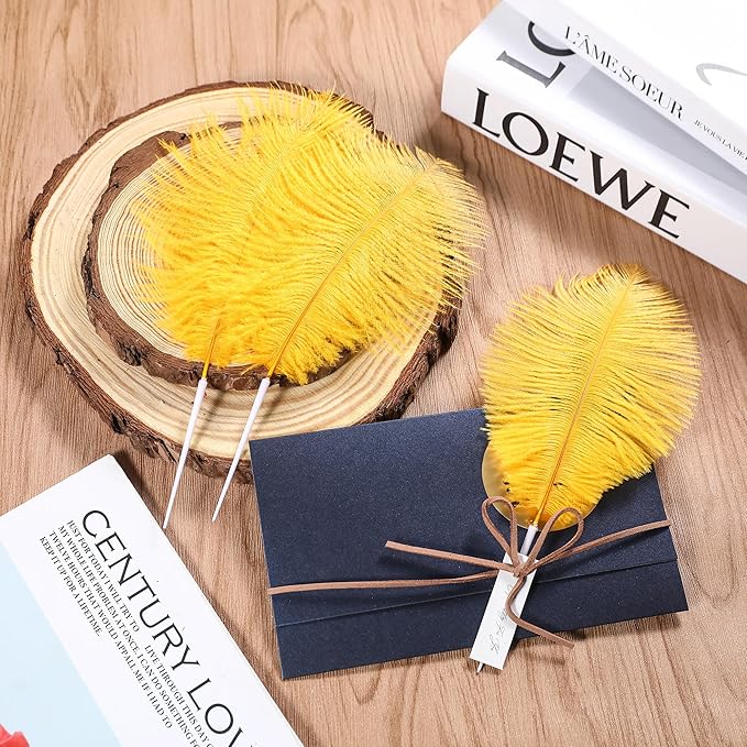 SOGUGOM Gold Craft Ostrich Feathers - 30PCS 8-10 inch Ostrich Feathers Kit for Centerpieces, Kindergarten Crafts, Dream Catchers and DIY Projects(Gold)